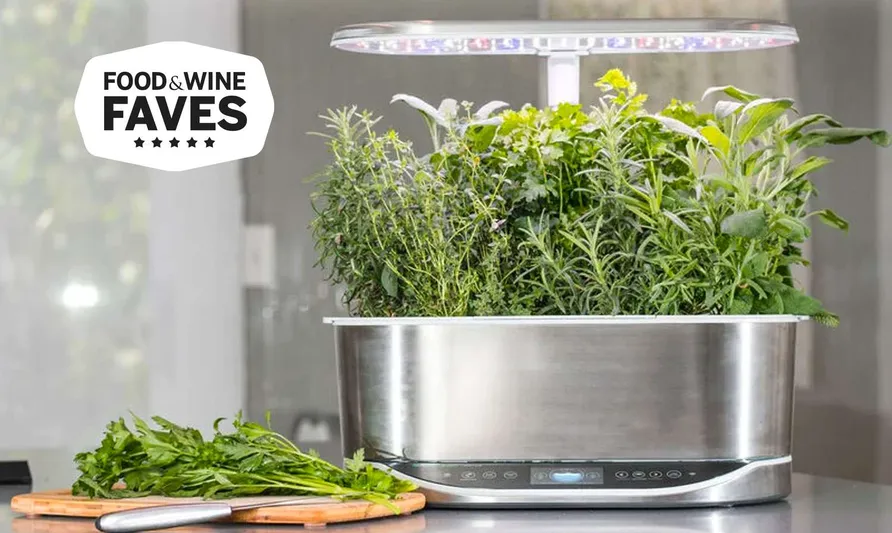 hydroponic growing systems indoor plants