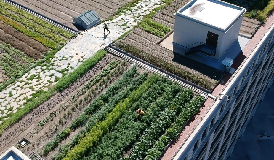 modern urban farming facility